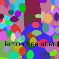 lemon tree aberdeen