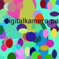 digitalkamera panasonic dmc fz